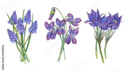 Fototapeta Naklejka Na Ścianę i Meble -  a set of three watercolor images of bouquets of purple spring flowers