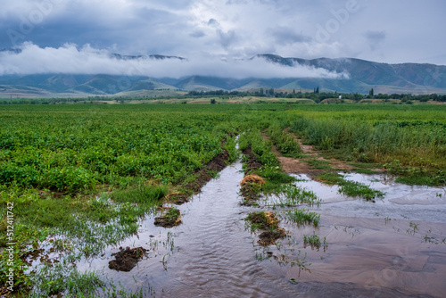 landscape of the river