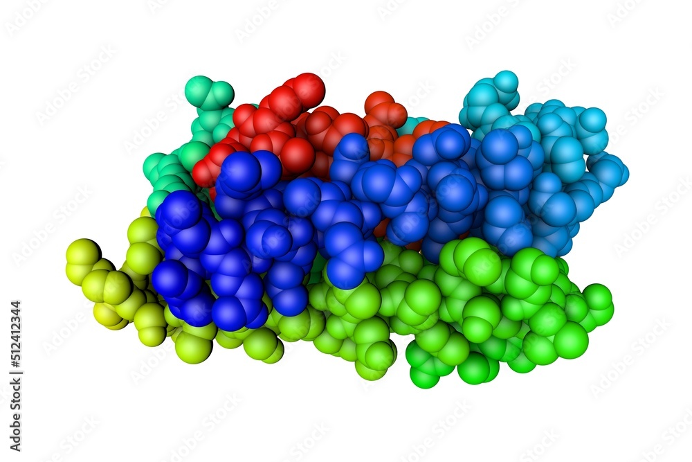 Human leukemia inhibitory factor (LIF). Space-filling molecular model isolated on white background. Rendering based on protein data bank. Rainbow coloring from N to C. 3d illustration