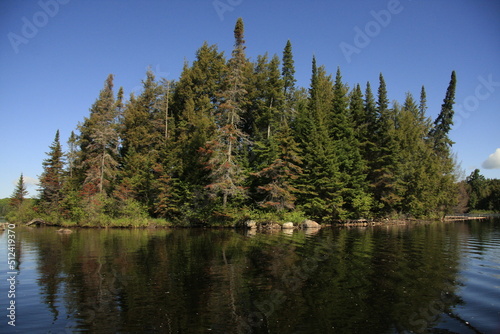 reflection of trees in lake