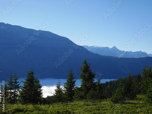 Mountains views above the cloud