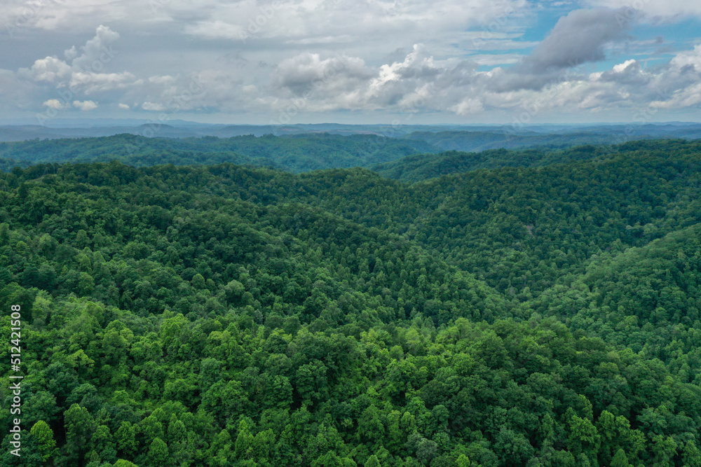 Green Mountains Under Blue Sky and Puffy Clouds