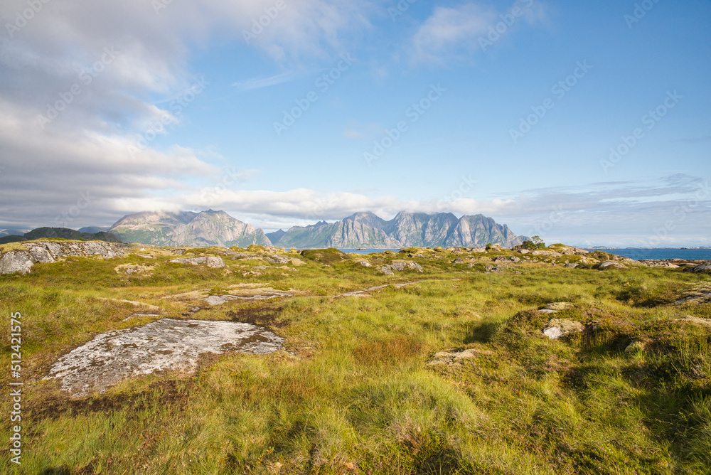 Fototapeta premium Beautiful lush grassland on Lofoten Island with mountains of a second island in the far background and light atmospheric clouds in the sky. Wonderful summer vacation destination. 