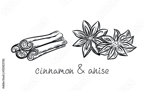 Cinnamon sticks and star anise are hand drawn. Textured whole cinnamon pods and anise flowers in doodle style. Isolated vector illustration with strokes.