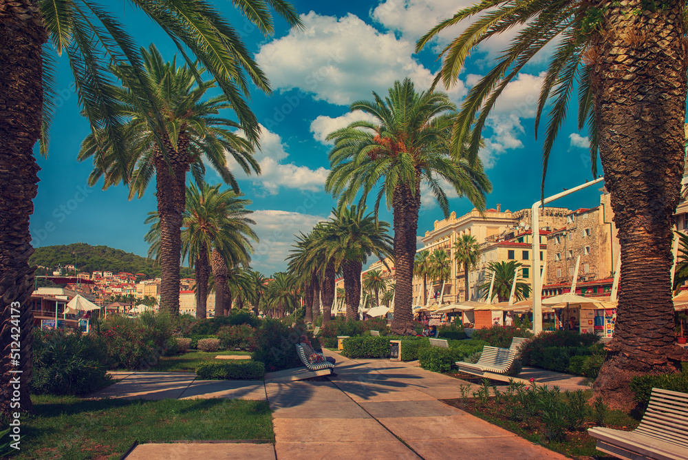 Fototapeta premium Palm alley in Split