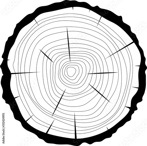 Cross section of wooden tree clipart design illustration
