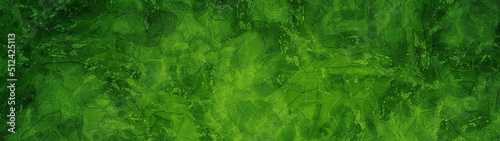 green sophisticated texture banner panorama background #512425113