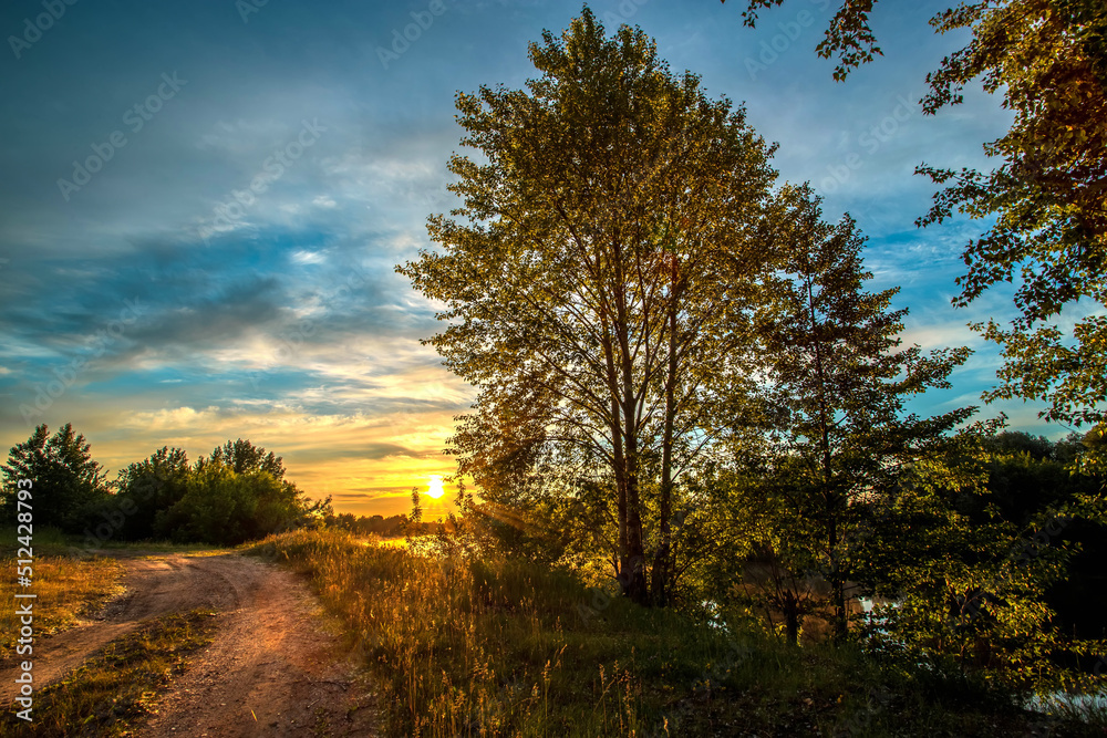 Beautiful landscape with sun and forest and meadow with road at sunrise.