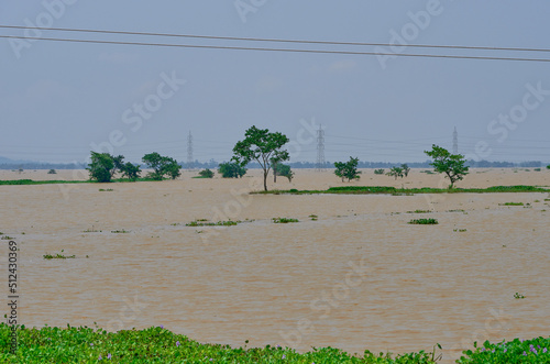 Fields under flood waters in Assam, India