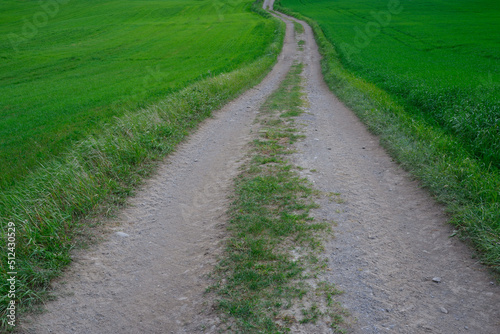 A gravel road passing through the green fields of Toten, Norway.