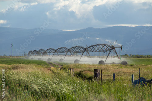Central Pivot Irrigation Line Watering Hay in a Sierra Valley, California Hayfield with Water Spraying Out