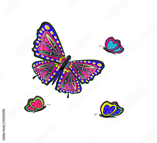 Bright with vivid colors of butterflies isolated on white background