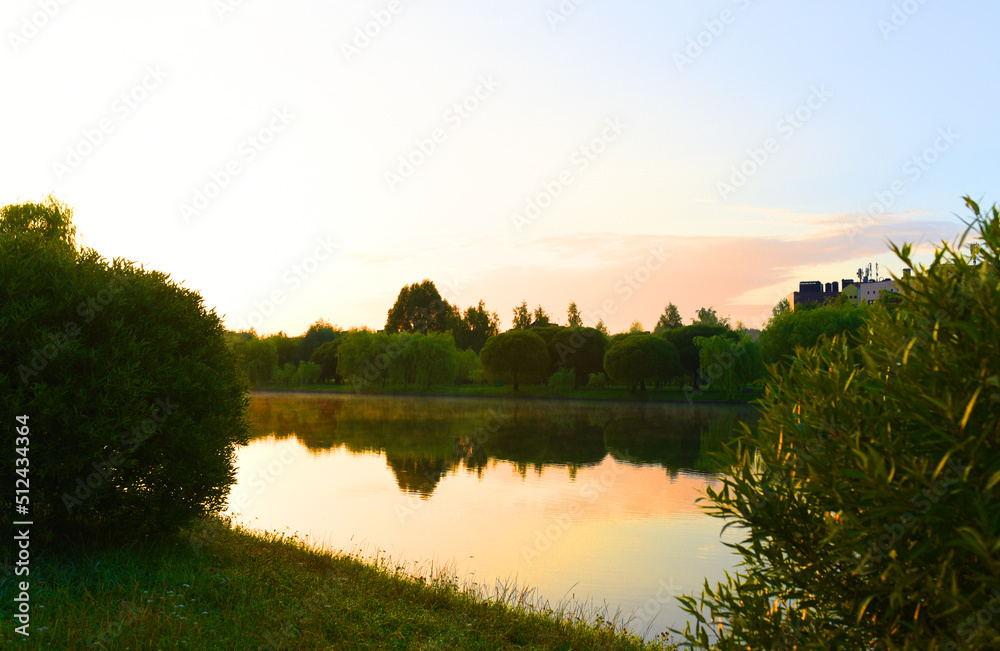 Fototapeta premium Sunrise on the river in the wild. River in wildlife in morning. River in forest among trees and green bushes with grass. Rural environment, clean air and ecology. Wild lake on sunset.