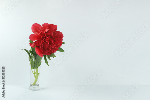 Fototapeta Naklejka Na Ścianę i Meble -  Bouquet with peony in a vase, flower arrangement, Minimal abstract background for cosmetic products presentation, holiday concept. Mother's day card, happy birthday, wedding, place for text,