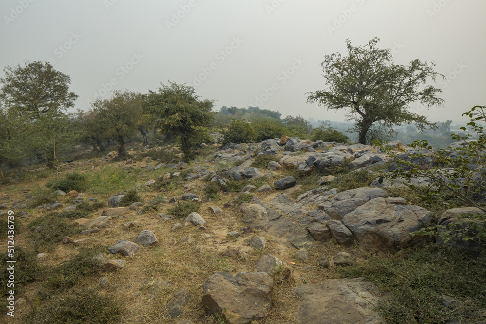 view of govardhan hill rocky surface where vegetation is around vrindavan india