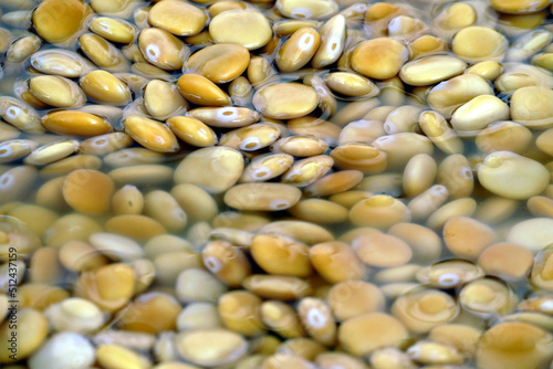 Lupini in acqua al mercato. Sud Europa