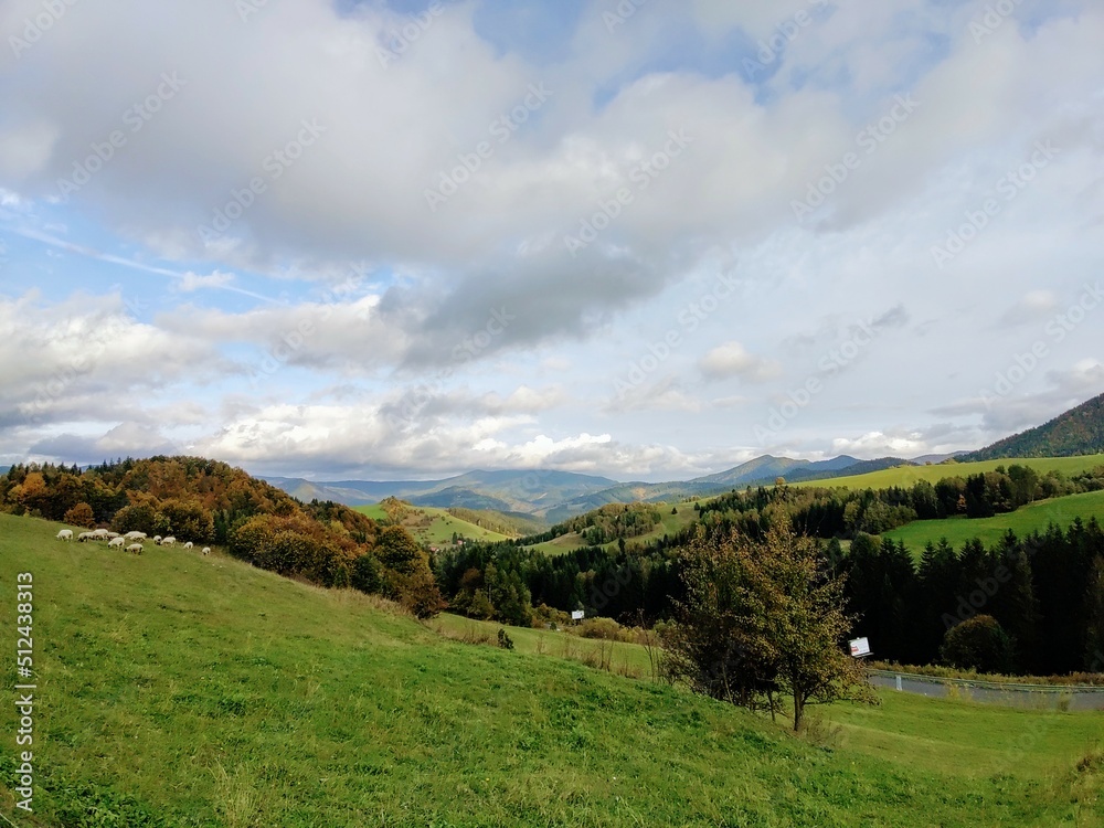 Fototapeta premium Autumn colorful leaves on the ground and on the trees. Slovakia