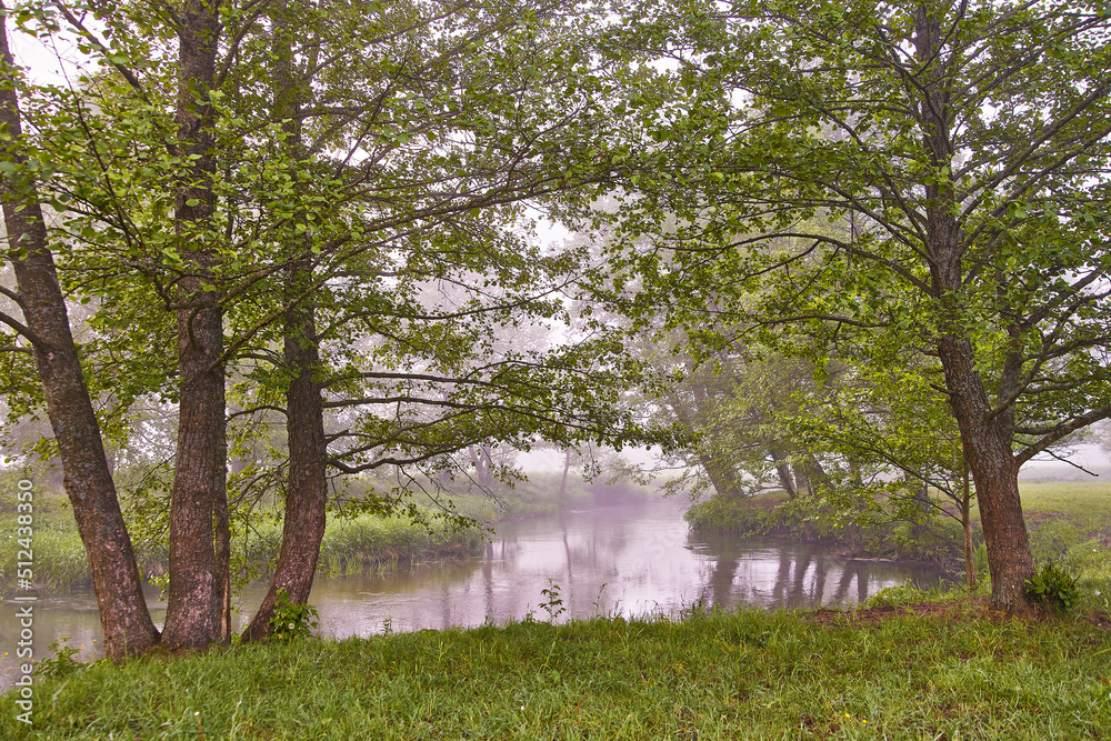 Spring Sunrise landscape. River in picturesque park. Summer foggy calm morning rural scene.