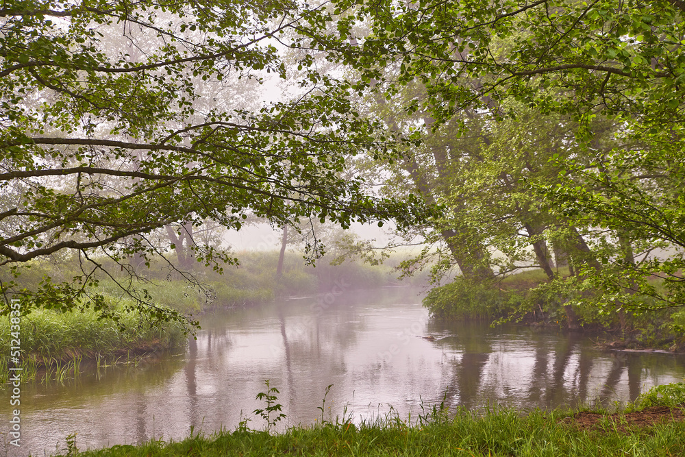 Spring Sunrise landscape. River in picturesque park. Summer foggy calm morning rural scene. Creek in misty woodland. Alder trees on riverside.