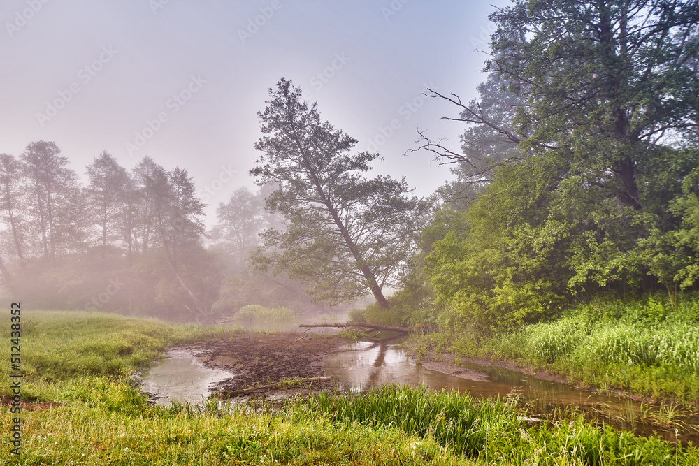 Spring Sunrise landscape. River in picturesque park. Summer foggy calm morning rural scene. Creek in misty woodland. Alder trees on riverside.