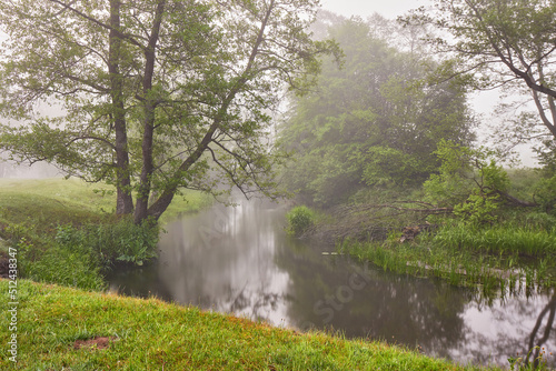 Summer foggy calm morning rural scene. Creek in misty woodland. Alder trees on riverside.