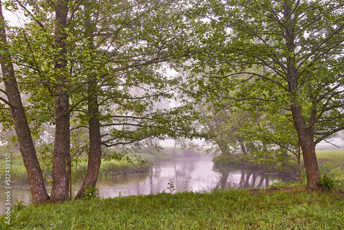 Obraz na płótnie Spring Sunrise landscape. River in picturesque park. Summer foggy calm morning rural scene. w salonie