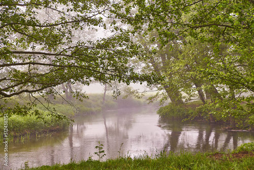 Obraz na płótnie Spring Sunrise landscape. River in picturesque park. Summer foggy calm morning rural scene. Creek in misty woodland. Alder trees on riverside. w salonie