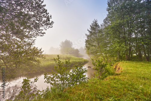 Obraz na płótnie Summer foggy calm morning rural scene. Creek in misty woodland. Alder trees on riverside. w salonie
