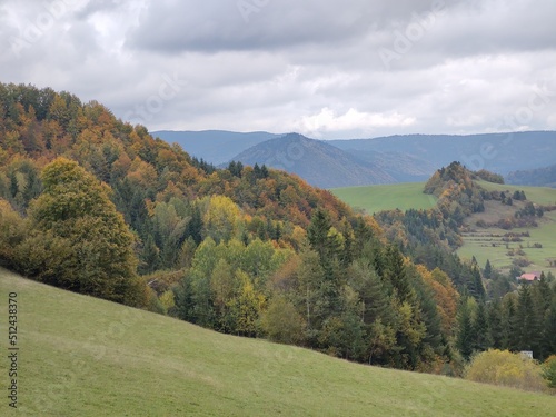 Autumn colorful leaves on the ground and on the trees. Slovakia 