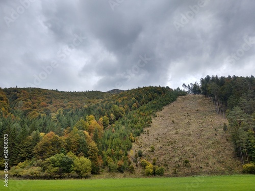 Autumn colorful leaves on the ground and on the trees. Slovakia 