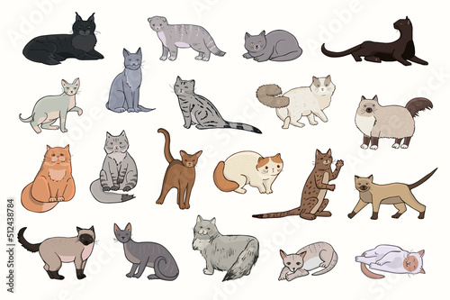 Cats breeds vector illustrations set