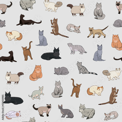 Cats illustrations seamless vector pattern 