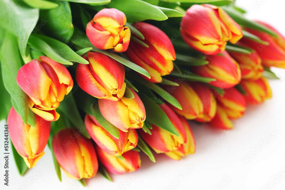 red and yellow tulips red and yellow tulips
