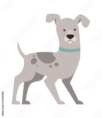 Cute Funny Dog. Pet Animal. Vector illustration