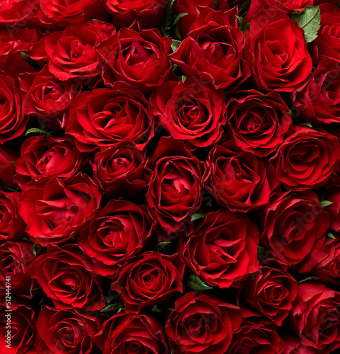 Red roses grunge background