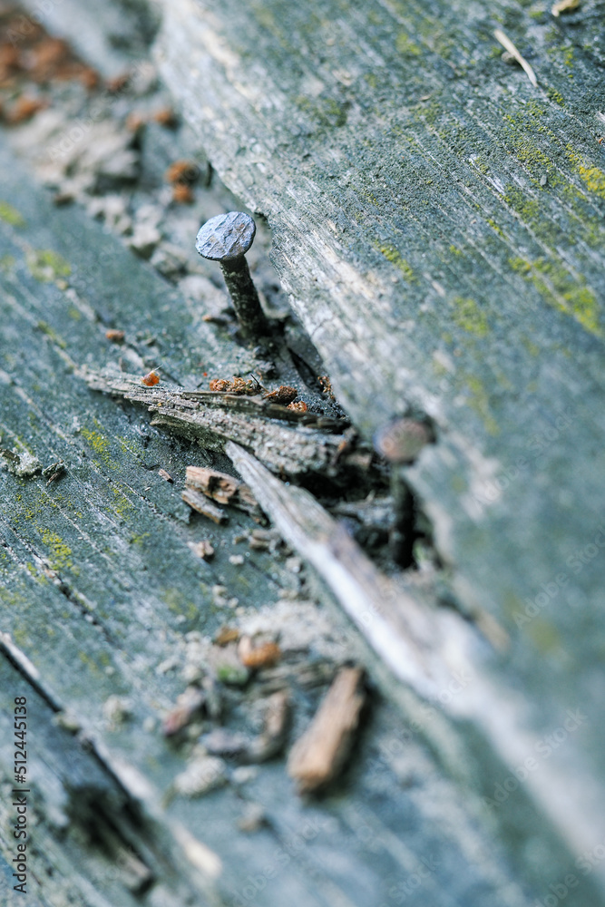 Fototapeta premium Nails coming out on an old wooden roof.