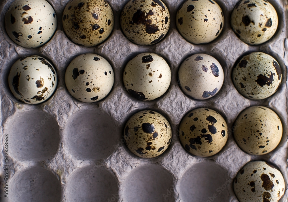 Quail eggs on pulp paper food tray . Top view, Quail eggs on pulp paper food tray . Top view,