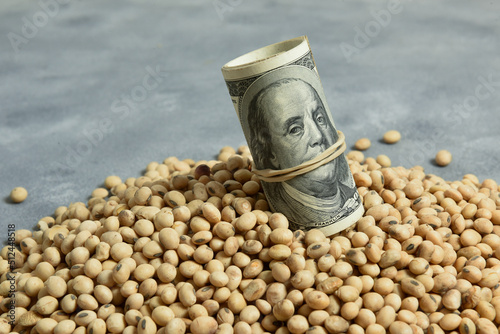 Dollars banknotes and coins and soy beans,oleaginous commoditi value concept. photo