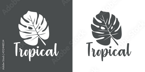Logo con texto manuscrito Tropical. Icono con silueta de hoja de monstera. Vector en fondo gris y fondo blanco