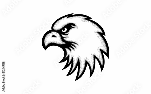 vintage hand drawn eagle