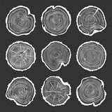 White round tree trunk cuts with cracks, sawn pine or oak slices, lumber. Saw cut timber, wood. Wooden texture with tree rings. Hand drawn sketch. Vector illustration