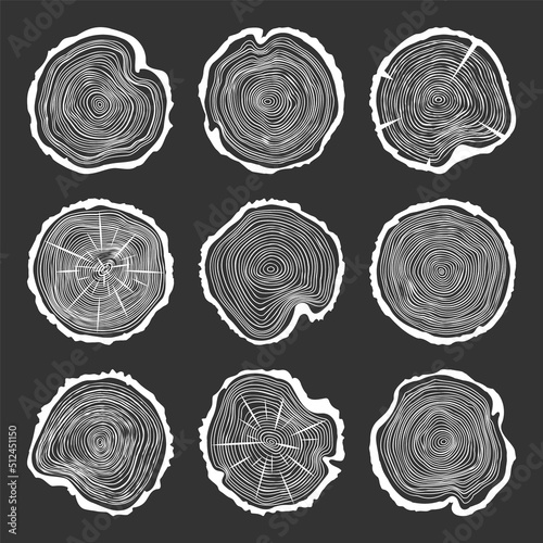 White round tree trunk cuts with cracks, sawn pine or oak slices, lumber. Saw cut timber, wood. Wooden texture with tree rings. Hand drawn sketch. Vector illustration