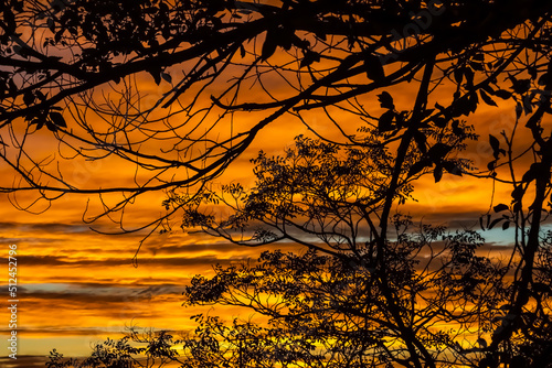 Fototapeta Naklejka Na Ścianę i Meble -  Gorgeous Sunset