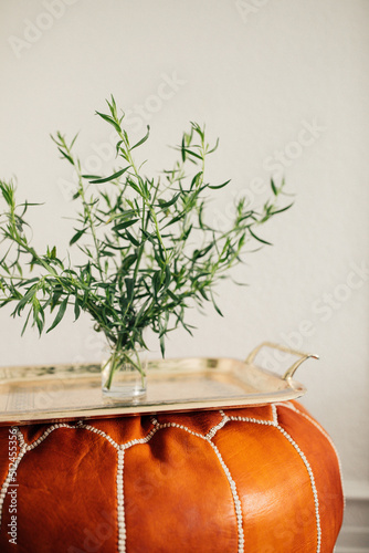 Slika na platnu Tarragon herb in vase on tray, moroccan pouf hassock