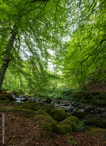 The Birks of Aberfeldy  circular walking route in the Moness Glen outside Aberfeldy in the Highlands of Scotland.