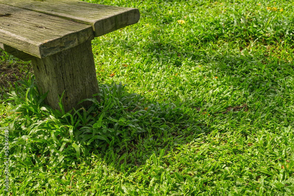 wooden bench in the garden