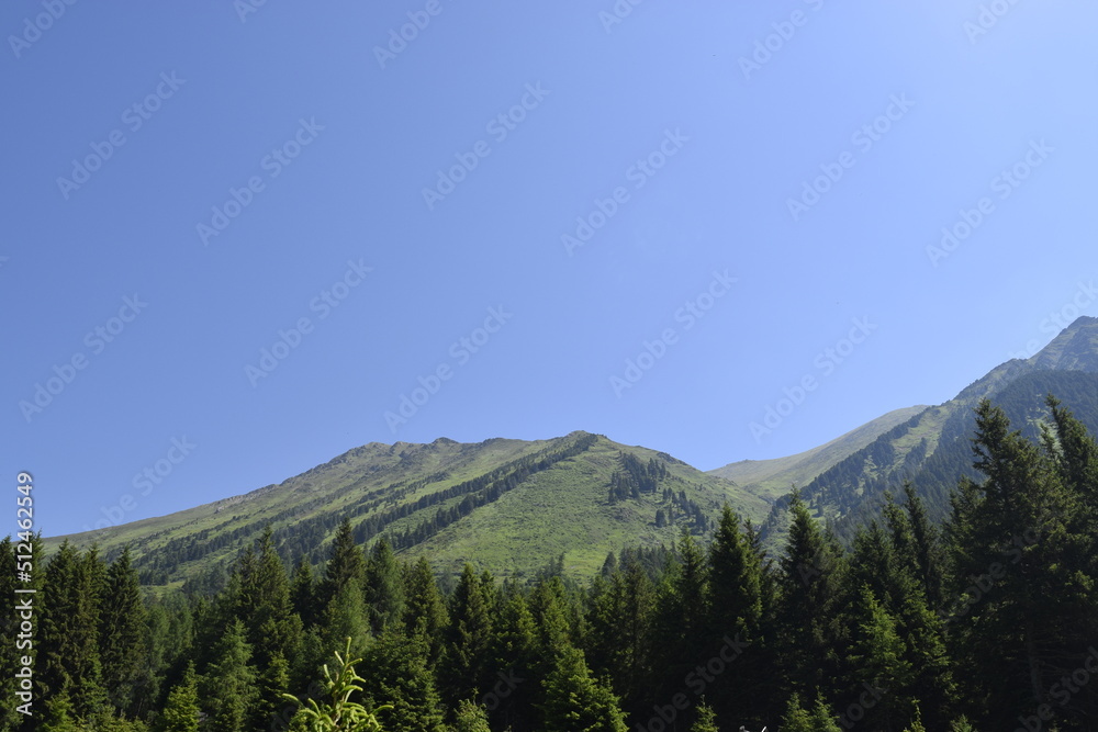 Green mountains view with forest