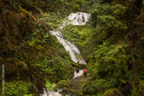 Bunch Waterfall Quinault Rainforest, Olympic national park