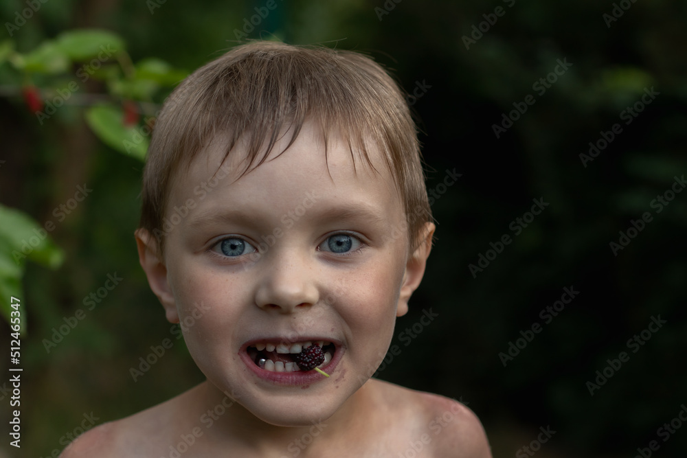 A happy and messy kid boy eating mulberries in the summer. happy childhood concept A happy and messy kid boy eating mulberries in the summer. happy childhood concept