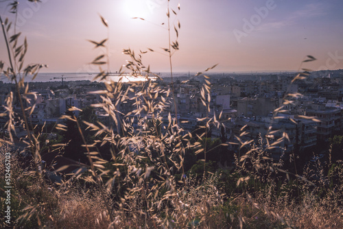 City view